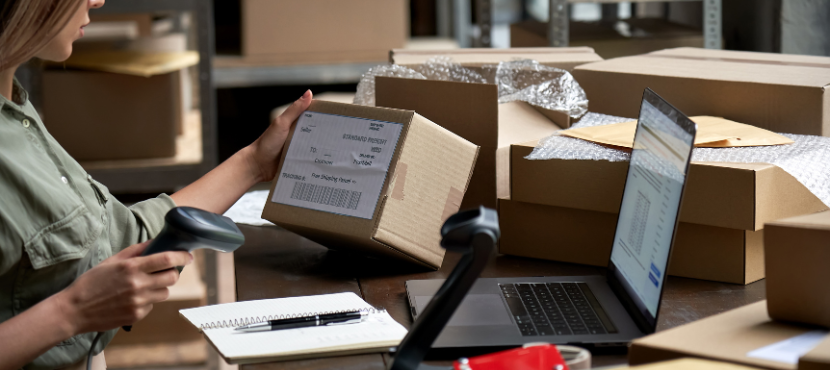 servicio dropshipping mayorista informática